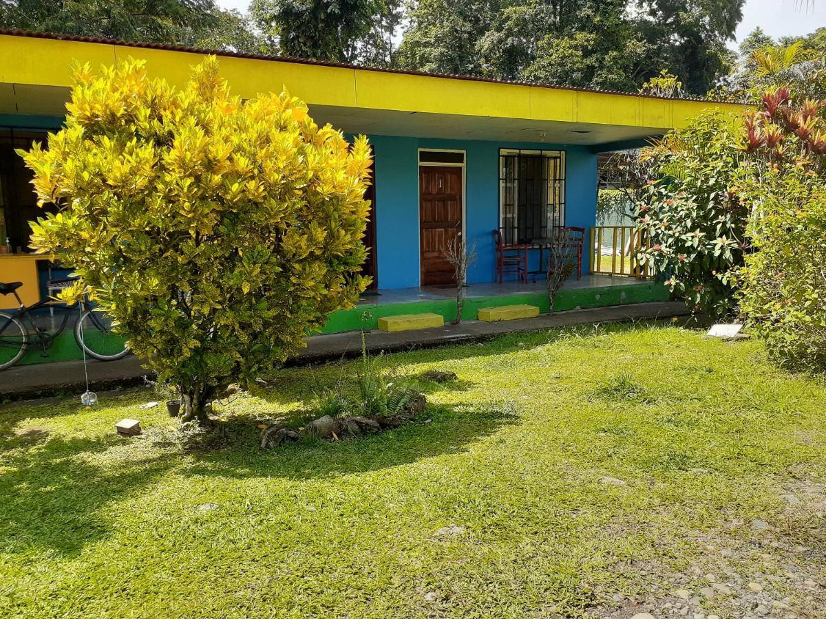 Magic Flower Rooms Cahuita Buitenkant foto